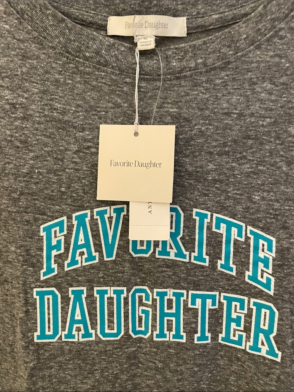 NWT Favorite Daughter Gray Tee with Turquoise Graphic XL - Picture 2 of 7